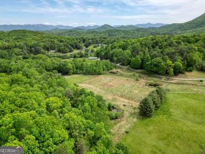10 AC Pleasant Valley Lane, Blairsville GA 30512