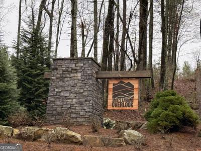 Lake Top Lane, Ellijay GA 30536