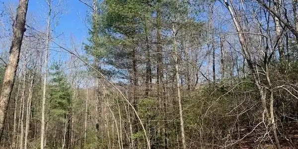 TR A East New Hope Road # A, Ellijay GA 30536