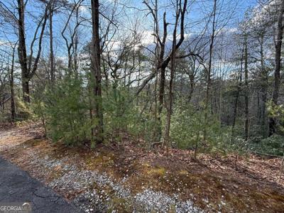 Lot 103 Lancelot Loop, Clayton GA 30525