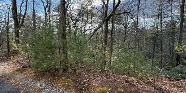 Lot 103 Lancelot Loop, Clayton GA 30525