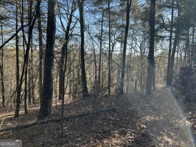 Twin River Orchard Road # 4, Demorest GA 30535