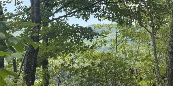 Bethabara View # 11, Hayesville NC 28904