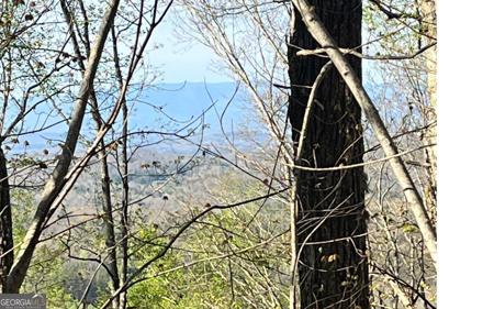 Lot 118 Croft Mtn Road, Blairsville GA 30512