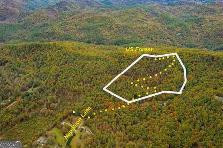 Napoleon Lane, Tiger GA 30576