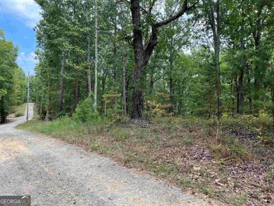 32 Antler Court # 2, Ranger GA 30734