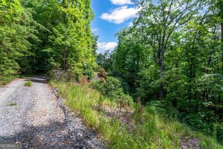4.69 Rockwater Road, Ellijay GA 30536