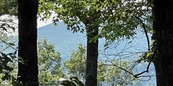 Lot 150, Sky Valley GA 30537 Ridgepole/Covered Bridge