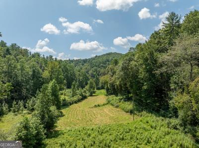 TR 3B Wolf Pen Gap Road, Ellijay GA 30540
