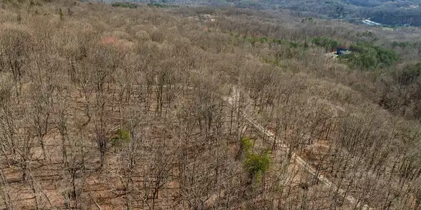 Lot 11 Mount Mincie Road, Murrayville GA 30564