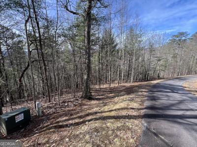 Lot 11 Choestoe Trail, Blairsville GA 30512 2.17AC