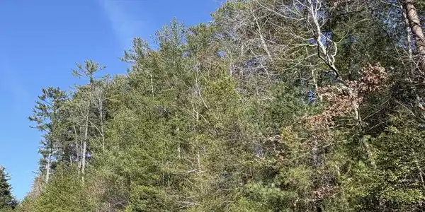 Lot 8 Uplander Court, Rabun Gap GA 30568