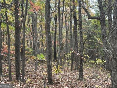 Lot 99 Northland Trail, Ellijay GA 30536