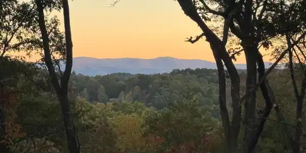 195 Wolf Creek Mountain Road, Mineral Bluff GA 30559
