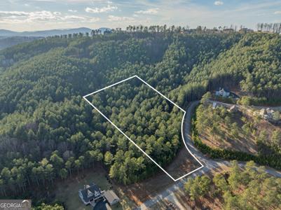 Lot 121, Blairsville GA 30512 The Stables at Thirteen Hundred