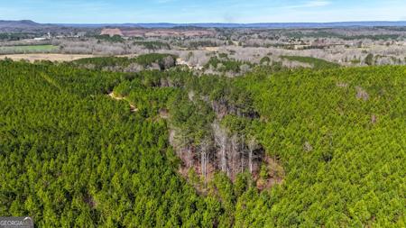 Highway 100, Summerville GA 30747