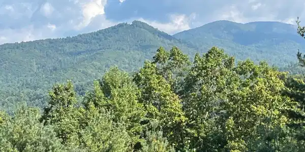 Lot 11 Briarwood Lane, Clayton GA 30525