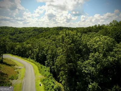79 River Overlook Lane S, Ellijay GA 30540