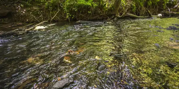 Lot 1-1A Jonica Gap Road, Mineral Bluff GA 30559