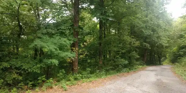 Lot 57 Bayberry Lane # 57, Sky Valley GA 30537