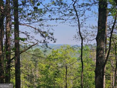 391 Meteor Court NE, Ranger GA 30734
