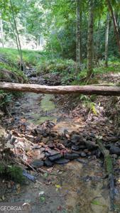 Lot 8, Sky Valley GA 30537 Lot 8 Bald Mountain Road