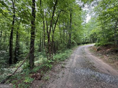 TRACK Mr Bert Road, Hiawassee GA 30546