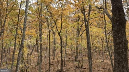 Super Deluxe Road, Rockmart GA 30153