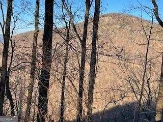 Lot 25 MOUNTAINSIDE Drive, Cleveland GA 30528