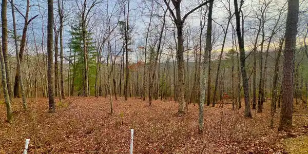 208 Harris Ridge Drive, Ellijay GA 30540