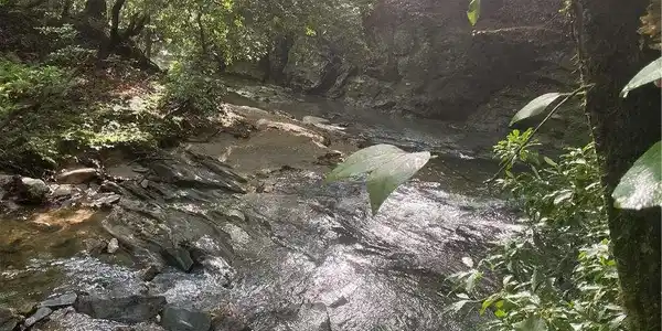 Lot N/A Mountain Brook Road, Dawsonville GA 30534