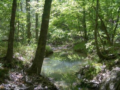 NE Nicklesville Road # 9637, Ranger GA 30734
