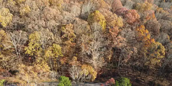Lot 63 Mountainside Drive, Cleveland GA 30528