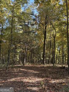 1600 Sunset Trail, Talking Rock GA 30175