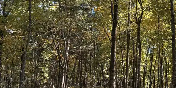 1600 Sunset Trail, Talking Rock GA 30175
