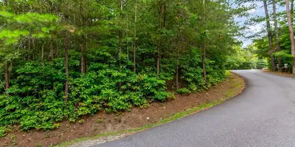 Lot 9 Laurel Creek Trail, Blue Ridge GA 30513