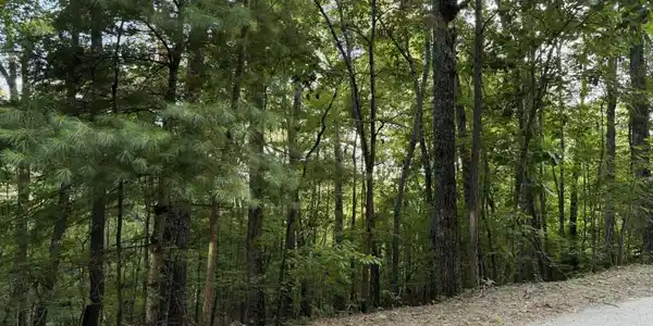Lot 46 Fox Run Drive # 46, Blue Ridge GA 30513