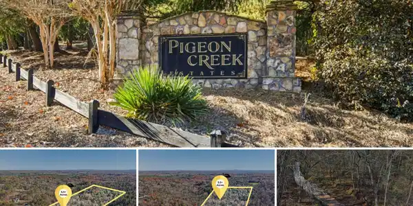 29 Pigeon Creek Drive, Dawsonville GA 30534