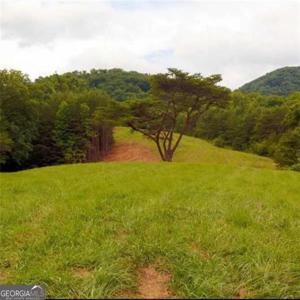 14694 HIGHWAY 515, Ellijay GA 30536