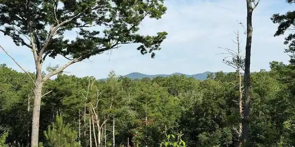 LT 304 Greenwood Court # 304, Ellijay GA 30540