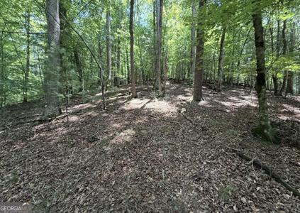 Lot 2607 Magnet Court, Ellijay GA 30540