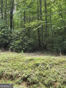 Lot 167 Chopped Oak, Ellijay GA 30540