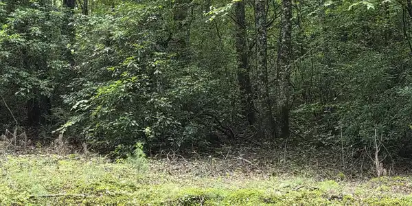Lot 167 Chopped Oak, Ellijay GA 30540