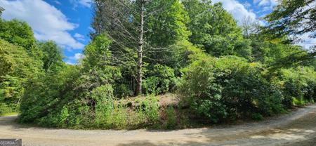 LT 17 & 18 Donna Lee Lane, Mineral Bluff GA 30559