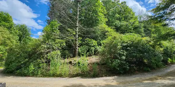 LT 17 & 18 Donna Lee Lane, Mineral Bluff GA 30559
