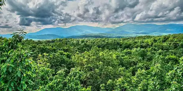 17.67 AC Rainbow Ridge, Ellijay GA 30540