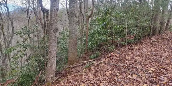 Lot 229 & 230, Sky Valley GA 30537 Labelle Circle