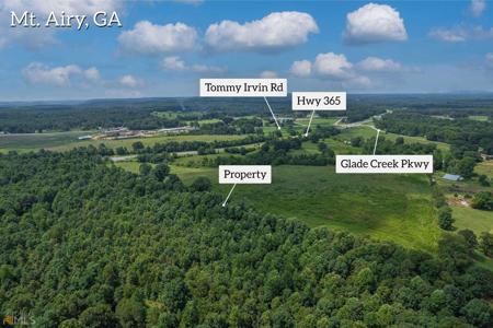 S Highway 365, Mount Airy GA 30563