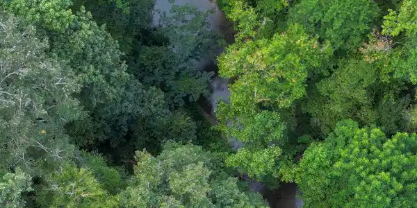 Lot 42 Bannockburn, Clayton GA 30525