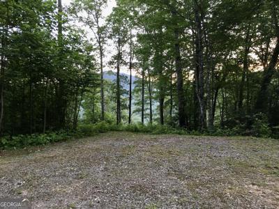 Lot 8 Nichols Ln At Tate City # 8, Clayton GA 30525